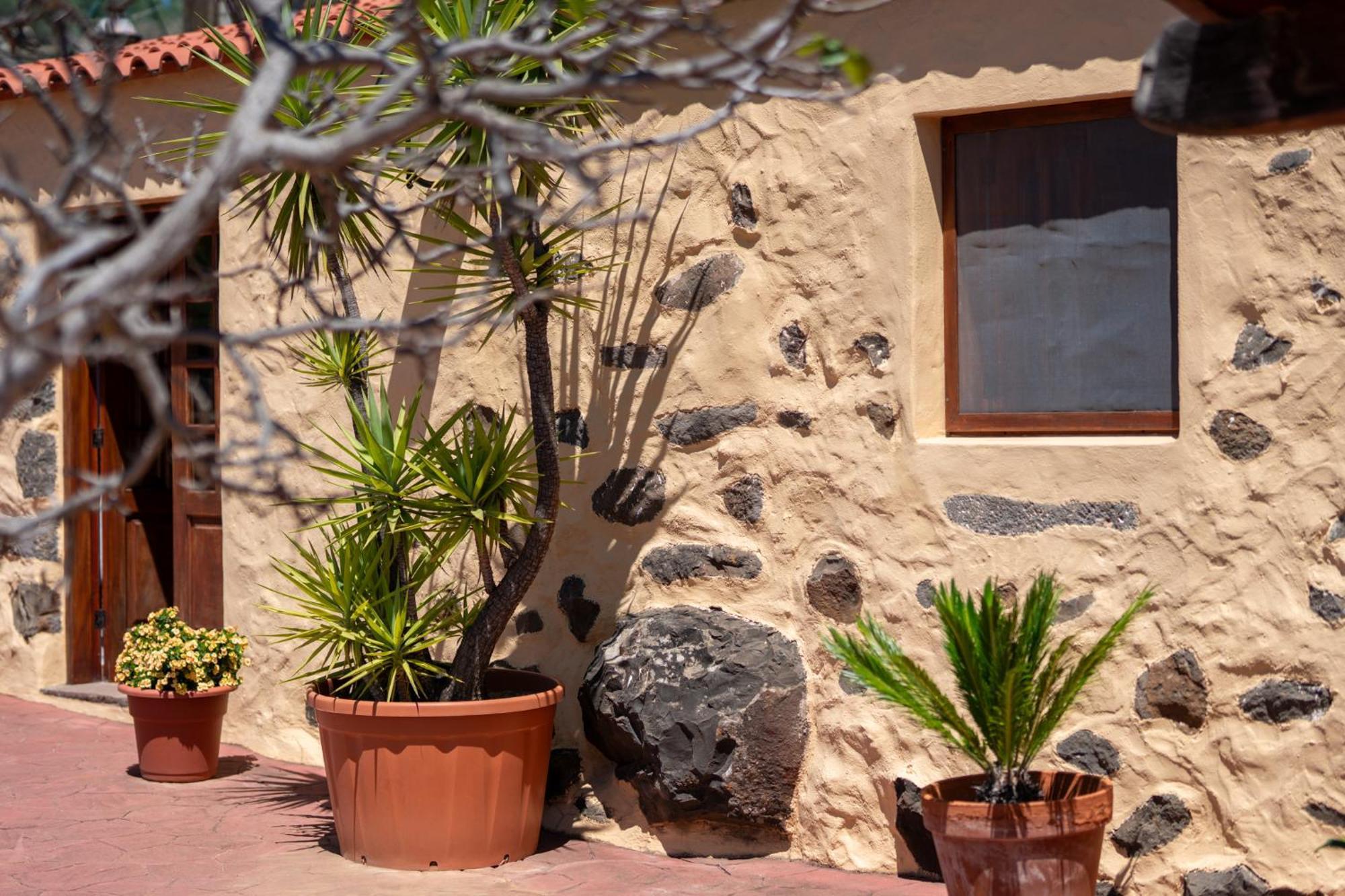 Casa Rural Tinamar فيغا دي سان ماتيو المظهر الخارجي الصورة
